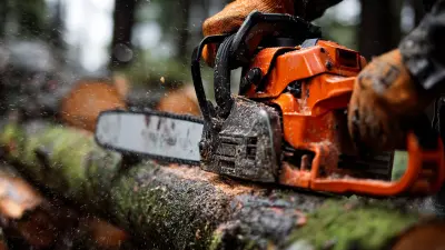 Essential Chainsaw Parts for Every Woodworker You Need to Know